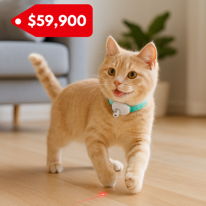 Collar Interactivo para Gatos con Láser Automático