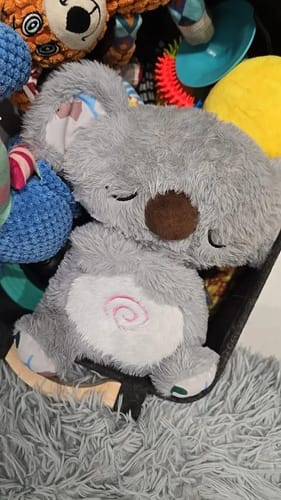 Peluche Relajante Koala